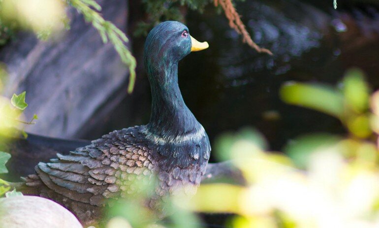 Гостиница Меридиан-Юг Красный Колос-35