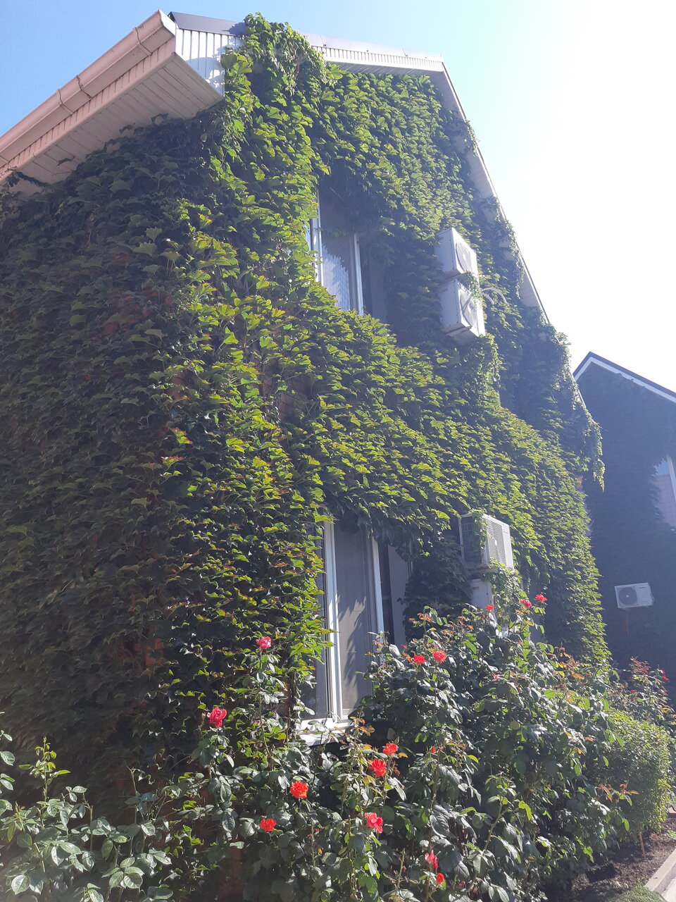 Гостиница Меридиан-Юг Красный Колос-28