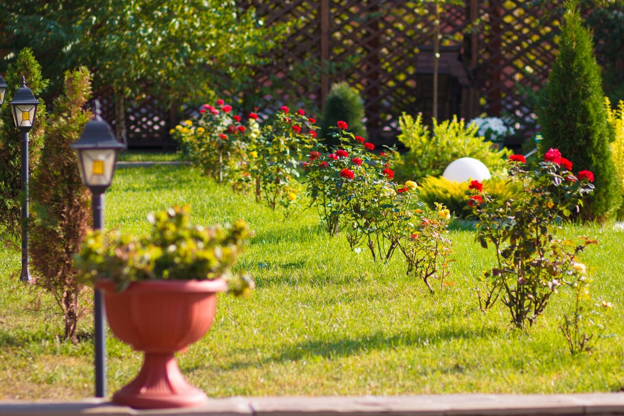 Гостиница Меридиан-Юг Красный Колос-48