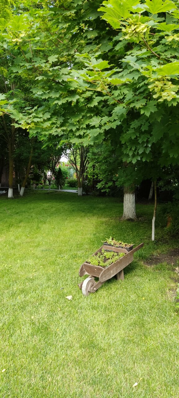 Гостиница Меридиан-Юг Красный Колос-250