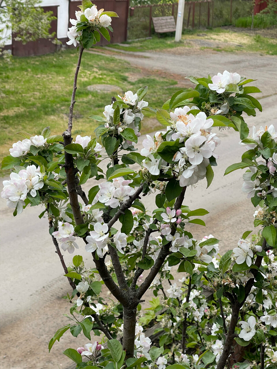 Гостиница Меридиан-Юг Красный Колос-216