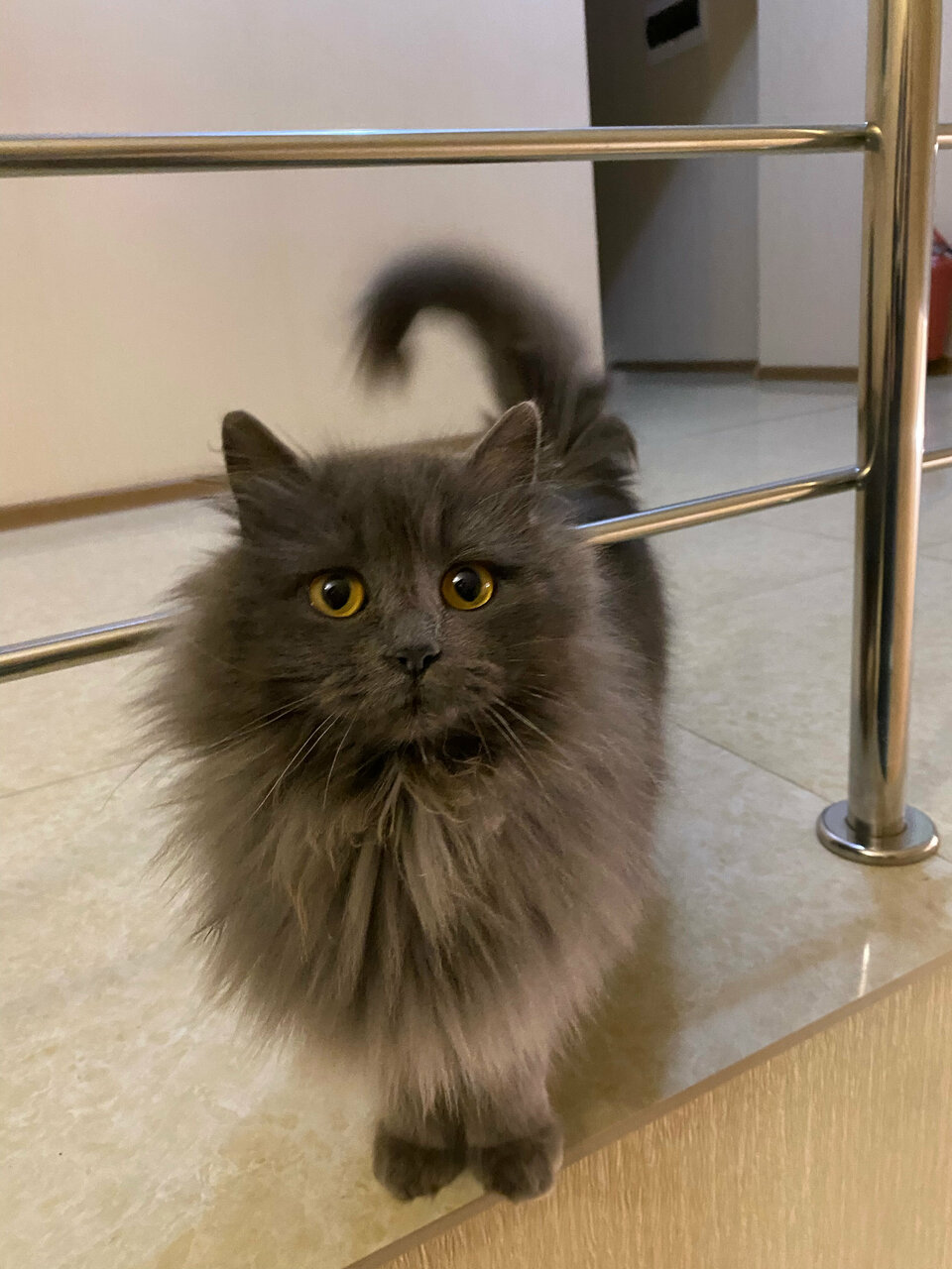 Гостиница Меридиан-Юг Красный Колос-221