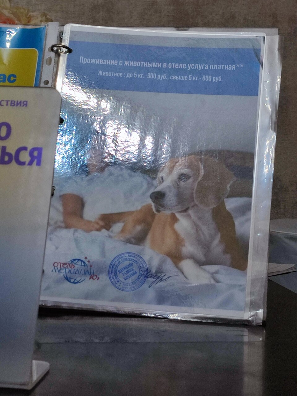 Гостиница Меридиан-Юг Красный Колос-224