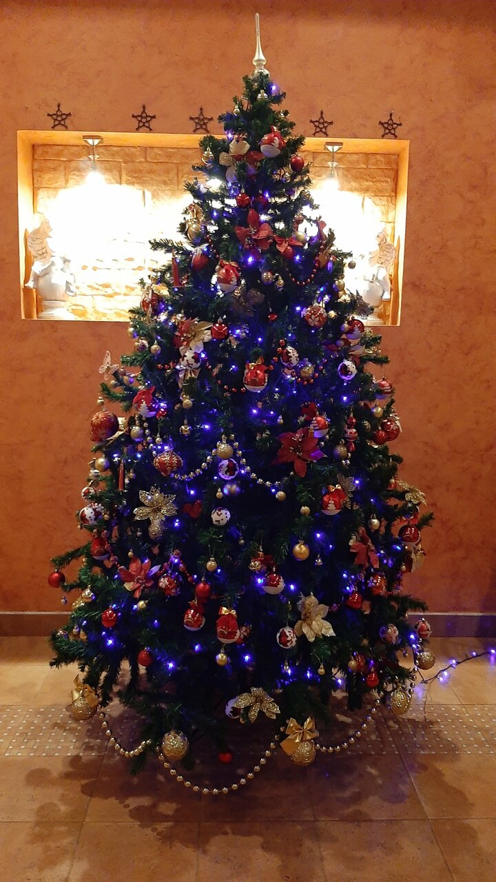 Гостиница Меридиан-Юг Красный Колос-235