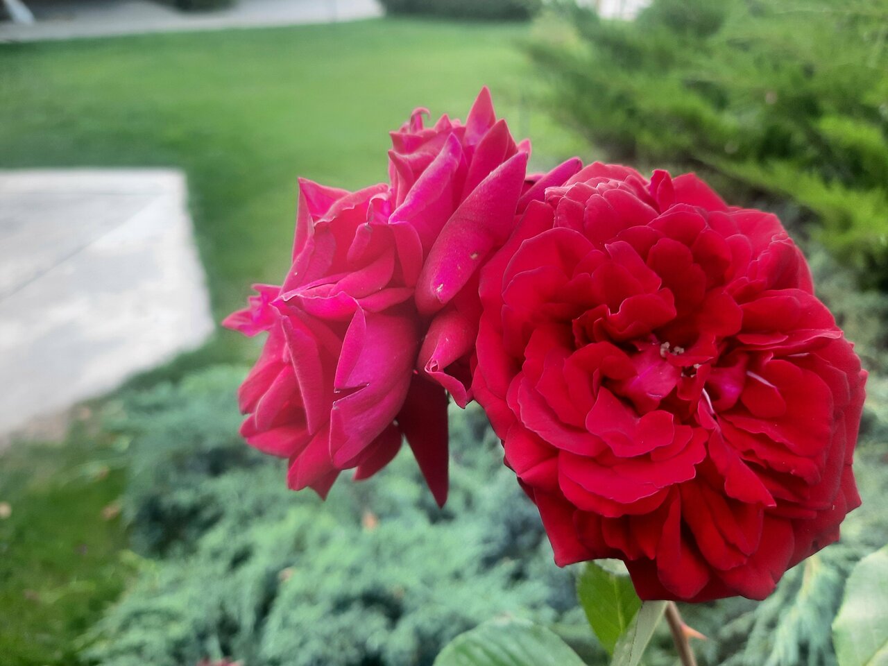 Гостиница Меридиан-Юг Красный Колос-226