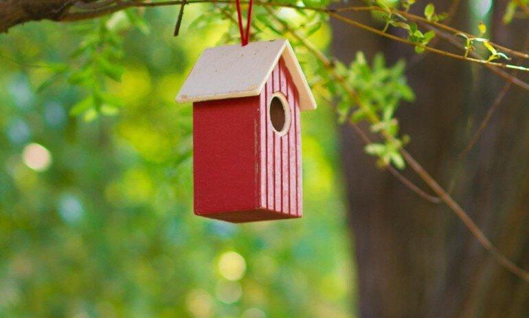 Гостиница Меридиан-Юг Красный Колос-38