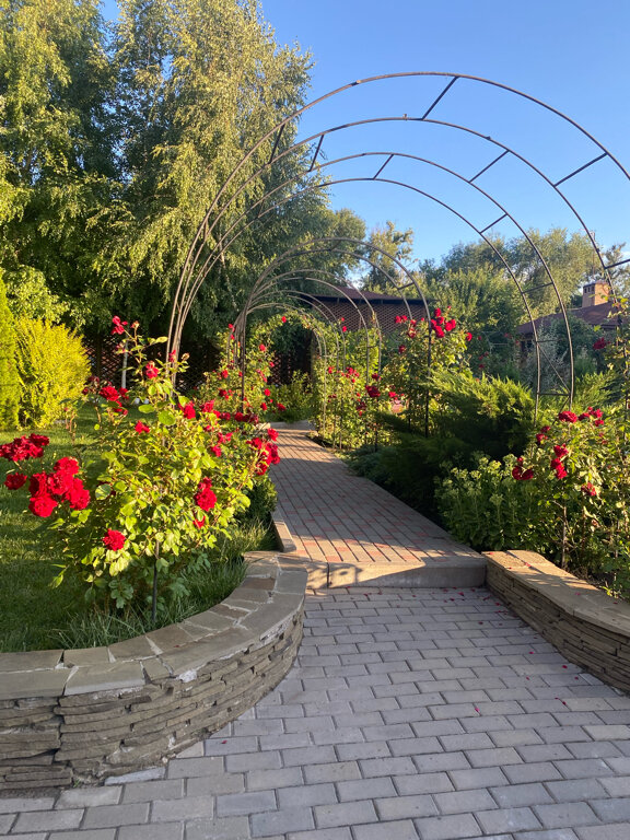 Гостиница Меридиан-Юг Красный Колос-237