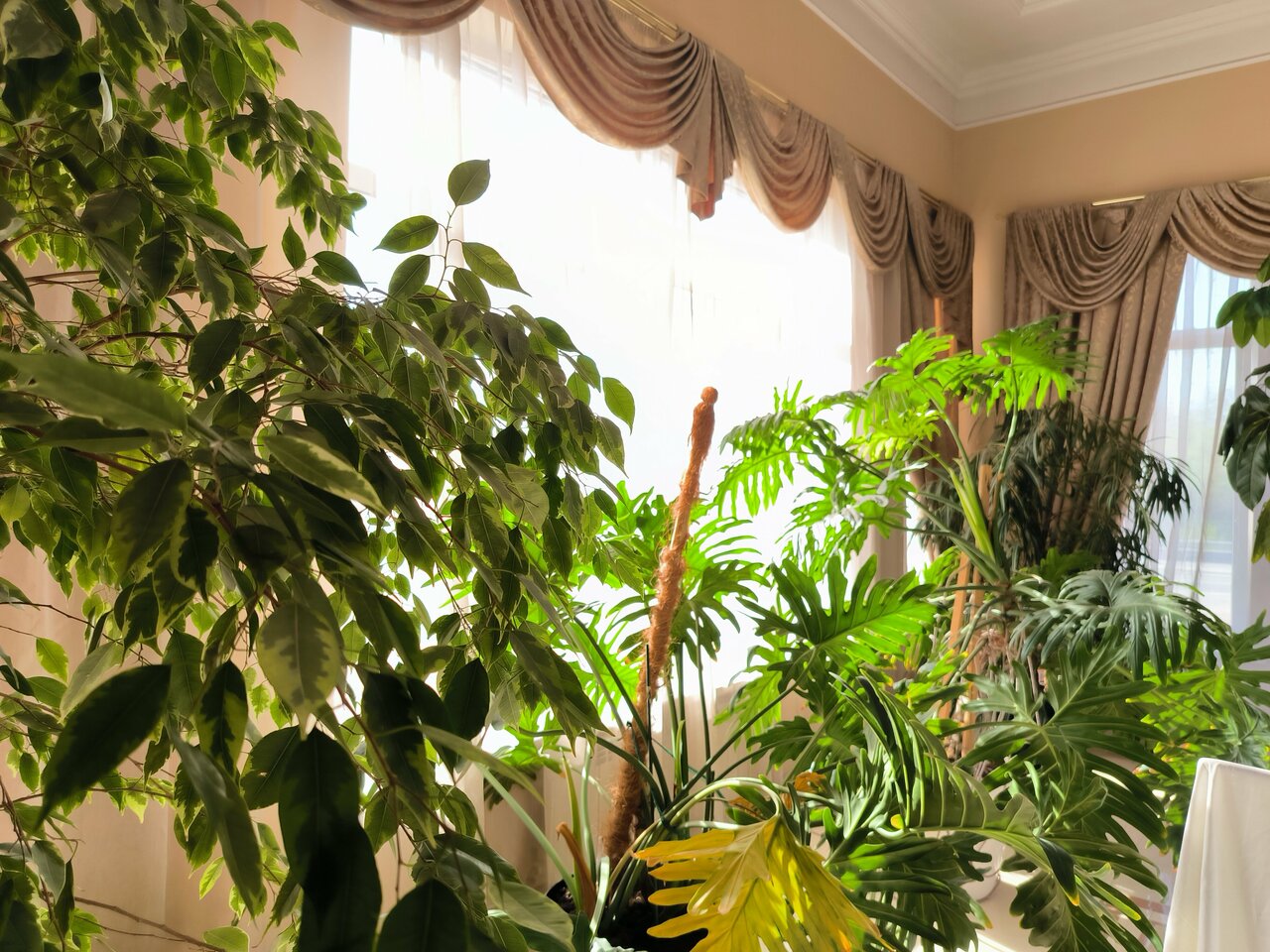 Гостиница Меридиан-Юг Красный Колос-223