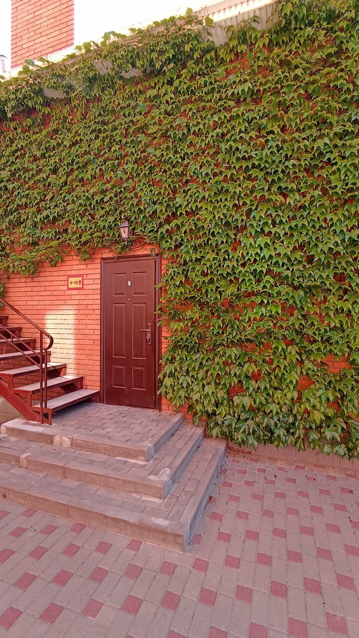 Гостиница Меридиан-Юг Красный Колос-200