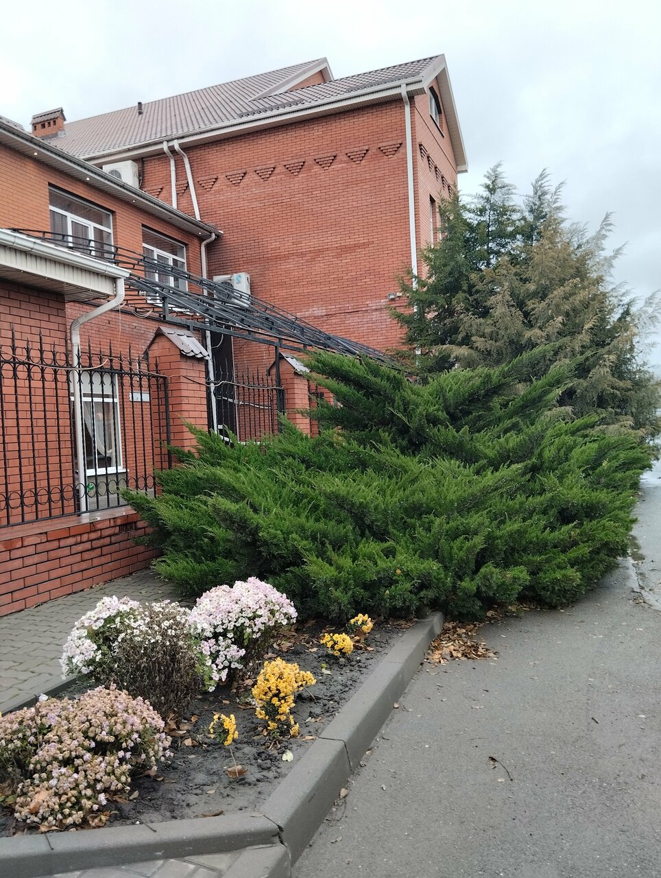 Гостиница Меридиан-Юг Красный Колос-251