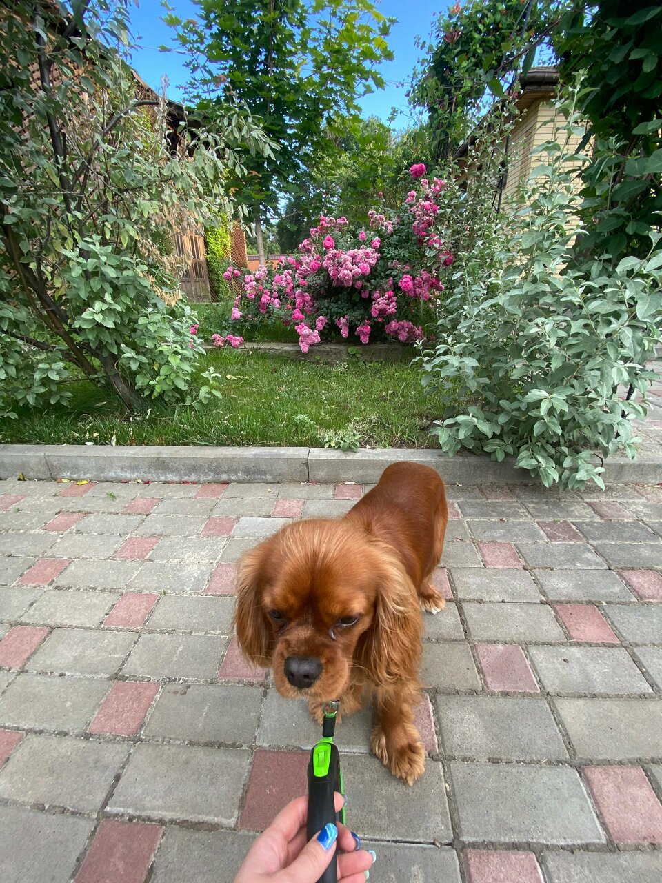 Гостиница Меридиан-Юг Красный Колос-204