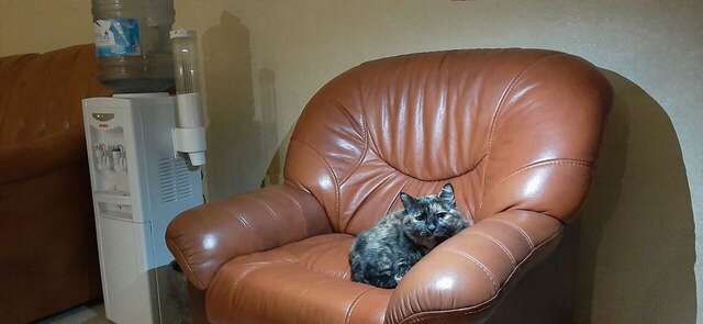 Гостиница Меридиан-Юг Красный Колос-230