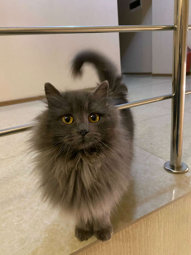 Гостиница Меридиан-Юг Красный Колос-220