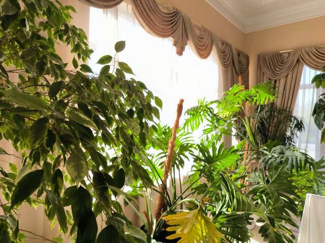 Гостиница Меридиан-Юг Красный Колос-222