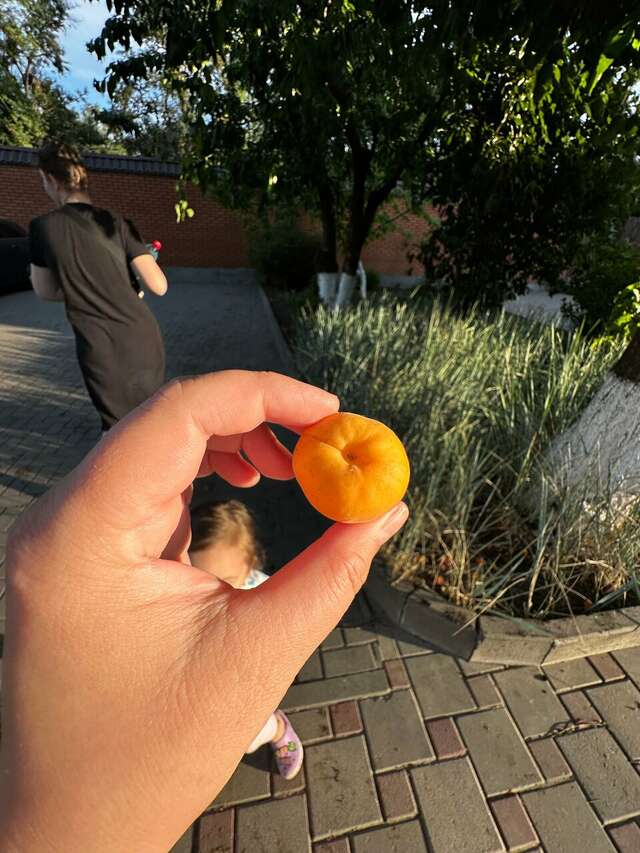 Гостиница Меридиан-Юг Красный Колос-202