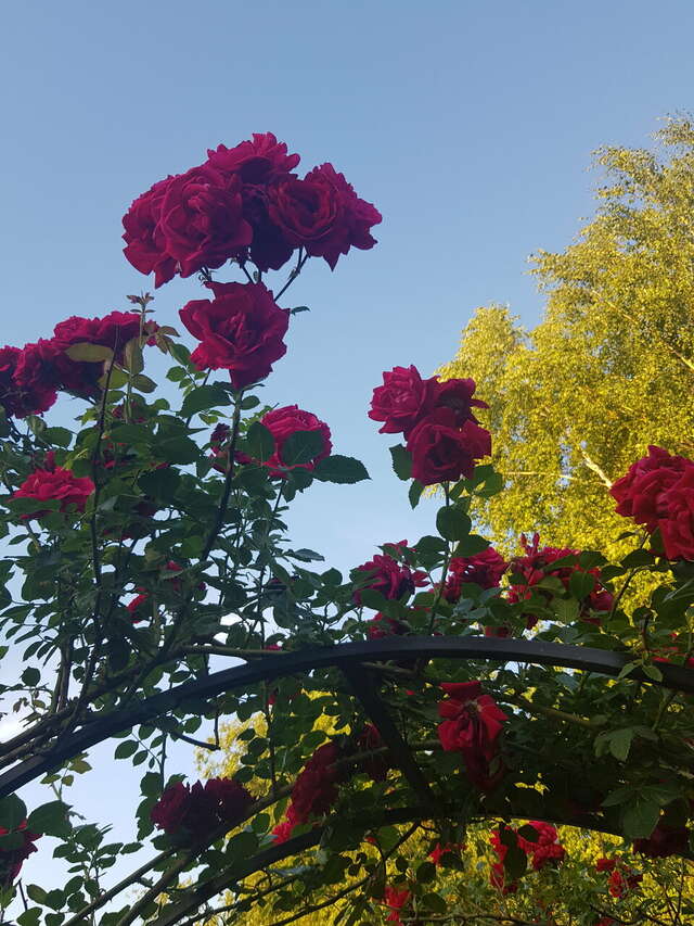 Гостиница Меридиан-Юг Красный Колос-195