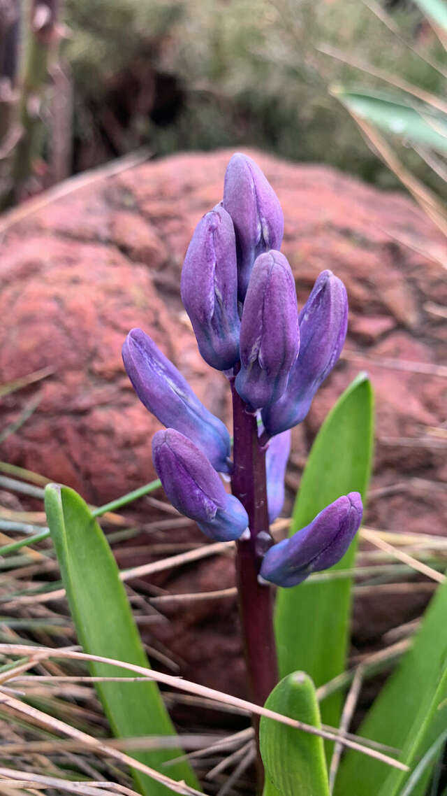 Гостиница Меридиан-Юг Красный Колос-213