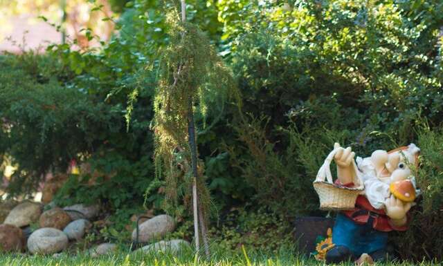 Гостиница Меридиан-Юг Красный Колос-35